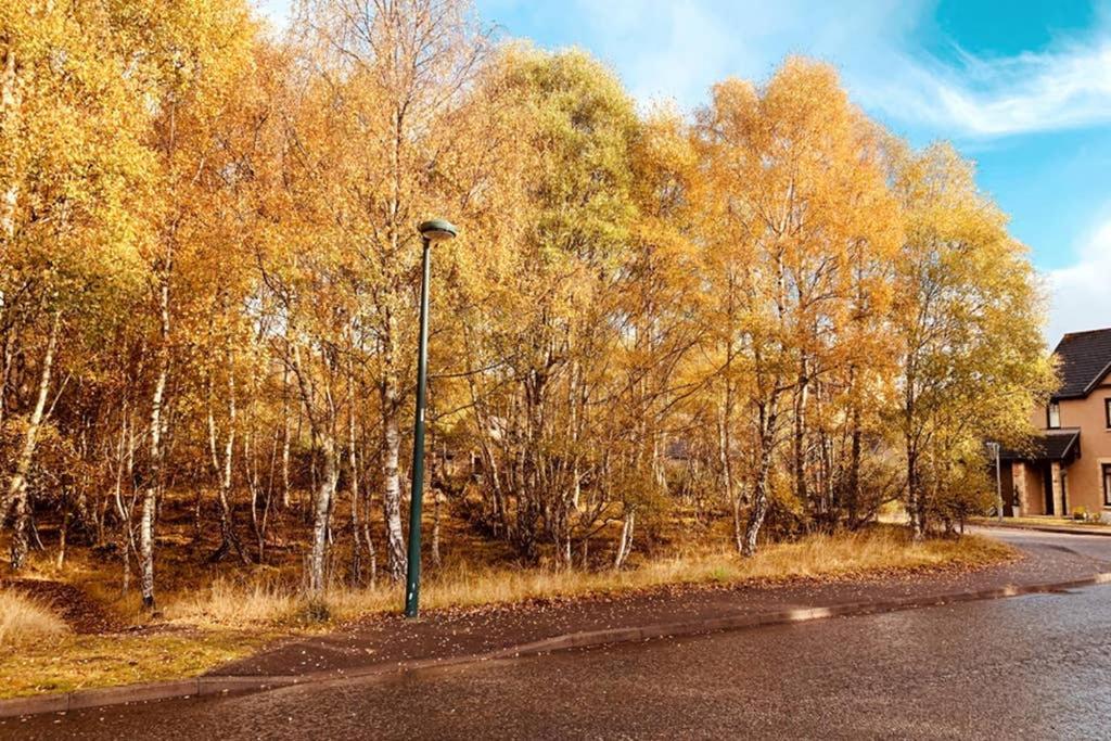 Cairngorm Cottage Aviemore Ngoại thất bức ảnh