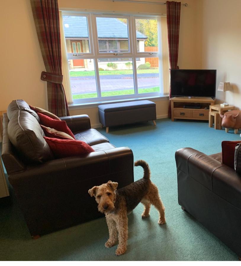 Cairngorm Cottage Aviemore Ngoại thất bức ảnh
